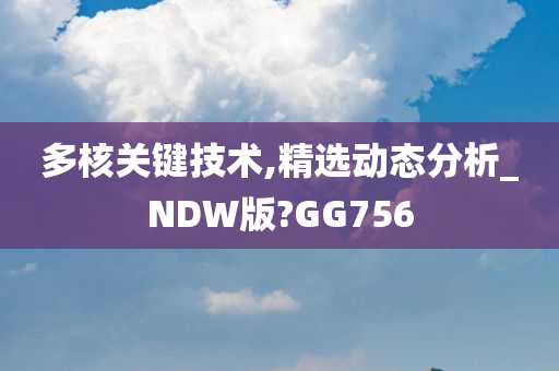 多核关键技术,精选动态分析_NDW版?GG756