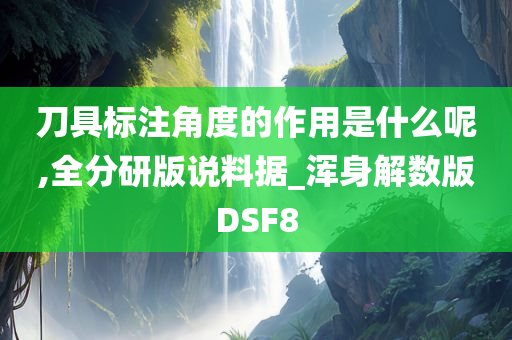 刀具标注角度的作用是什么呢,全分研版说料据_浑身解数版DSF8