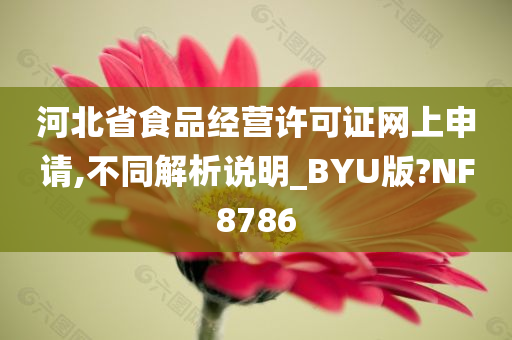 河北省食品经营许可证网上申请,不同解析说明_BYU版?NF8786