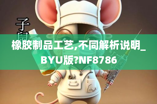 橡胶制品工艺,不同解析说明_BYU版?NF8786