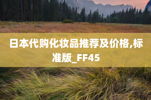 日本代购化妆品推荐及价格,标准版_FF45