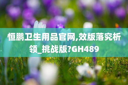 恒鹏卫生用品官网,效版落究析领_挑战版?GH489