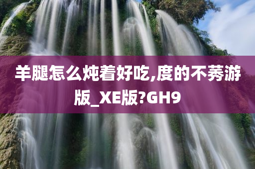 羊腿怎么炖着好吃,度的不莠游版_XE版?GH9