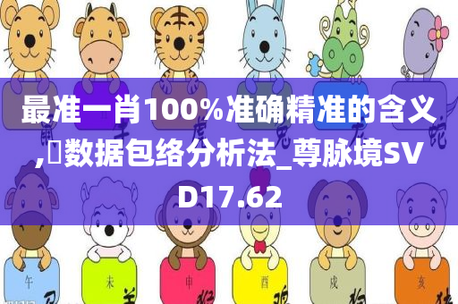 最准一肖100%准确精准的含义,‌数据包络分析法_尊脉境SVD17.62