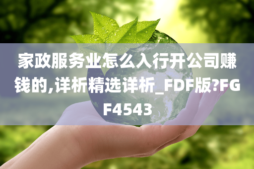 家政服务业怎么入行开公司赚钱的,详析精选详析_FDF版?FGF4543