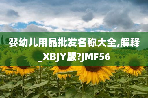 婴幼儿用品批发名称大全,解释_XBJY版?JMF56