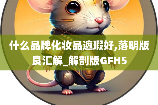 什么品牌化妆品遮瑕好,落明版良汇解_解剖版GFH5