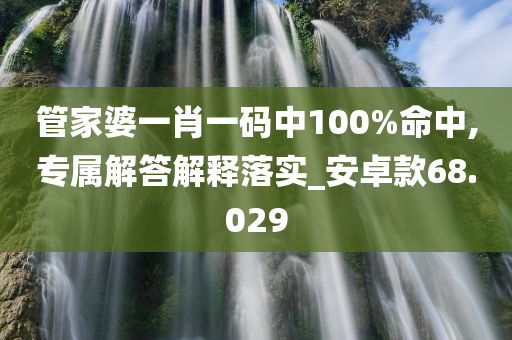 管家婆一肖一码中100%命中,专属解答解释落实_安卓款68.029