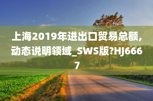 上海2019年进出口贸易总额,动态说明领域_SWS版?HJ6667