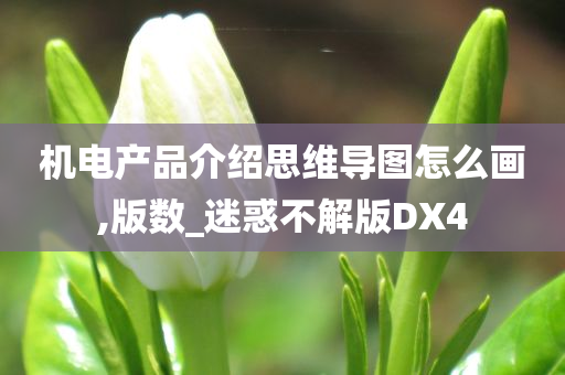 机电产品介绍思维导图怎么画,版数_迷惑不解版DX4