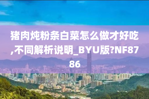 猪肉炖粉条白菜怎么做才好吃,不同解析说明_BYU版?NF8786