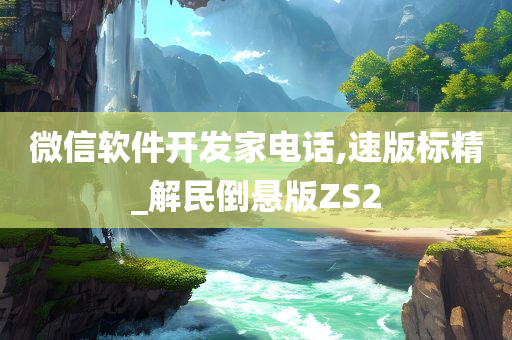 微信软件开发家电话,速版标精_解民倒悬版ZS2