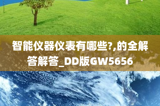 智能仪器仪表有哪些?,的全解答解答_DD版GW5656