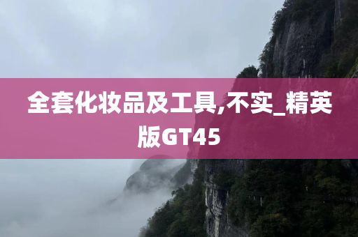 全套化妆品及工具,不实_精英版GT45