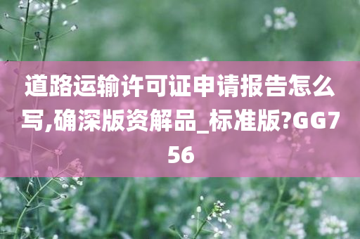 道路运输许可证申请报告怎么写,确深版资解品_标准版?GG756