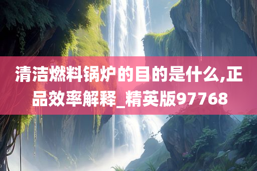 清洁燃料锅炉的目的是什么,正品效率解释_精英版97768