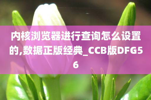 内核浏览器进行查询怎么设置的,数据正版经典_CCB版DFG56