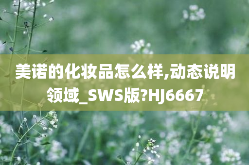 美诺的化妆品怎么样,动态说明领域_SWS版?HJ6667