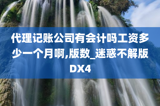 代理记账公司有会计吗工资多少一个月啊,版数_迷惑不解版DX4