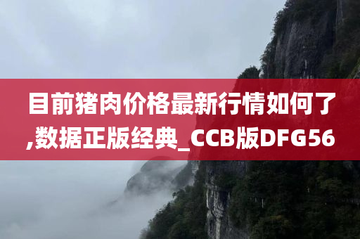 目前猪肉价格最新行情如何了,数据正版经典_CCB版DFG56