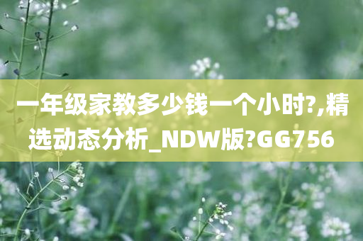 一年级家教多少钱一个小时?,精选动态分析_NDW版?GG756