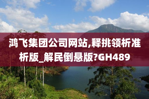 鸿飞集团公司网站,释挑领析准析版_解民倒悬版?GH489