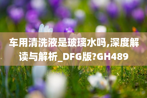 车用清洗液是玻璃水吗,深度解读与解析_DFG版?GH489