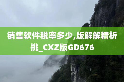 销售软件税率多少,版解解精析挑_CXZ版GD676