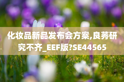 化妆品新品发布会方案,良莠研究不齐_EEF版?SE44565