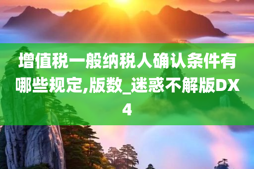 增值税一般纳税人确认条件有哪些规定,版数_迷惑不解版DX4