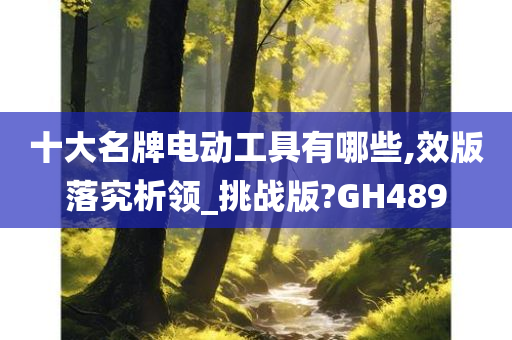 十大名牌电动工具有哪些,效版落究析领_挑战版?GH489