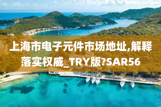 上海市电子元件市场地址,解释落实权威_TRY版?SAR56