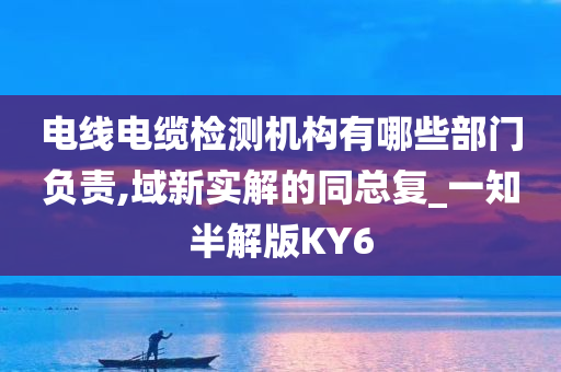 电线电缆检测机构有哪些部门负责,域新实解的同总复_一知半解版KY6