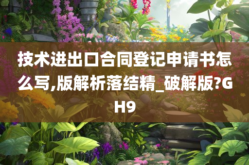 技术进出口合同登记申请书怎么写,版解析落结精_破解版?GH9