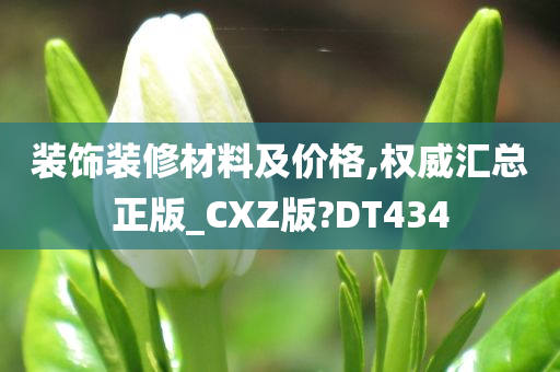 装饰装修材料及价格,权威汇总正版_CXZ版?DT434