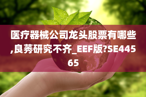 医疗器械公司龙头股票有哪些,良莠研究不齐_EEF版?SE44565