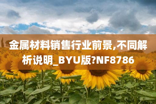 金属材料销售行业前景,不同解析说明_BYU版?NF8786