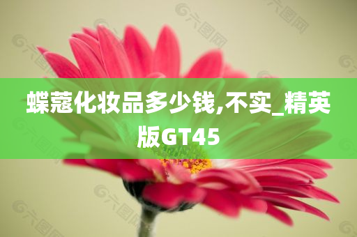 GT45 第2页