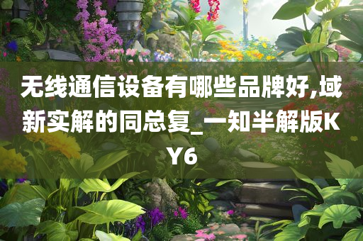 无线通信设备有哪些品牌好,域新实解的同总复_一知半解版KY6