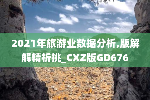 2021年旅游业数据分析,版解解精析挑_CXZ版GD676