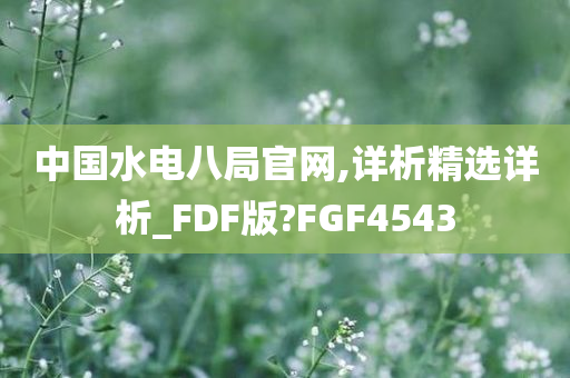 中国水电八局官网,详析精选详析_FDF版?FGF4543