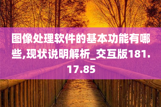 图像处理软件的基本功能有哪些,现状说明解析_交互版181.17.85