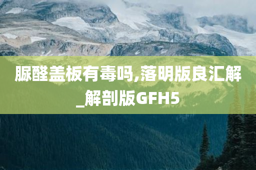 脲醛盖板有毒吗,落明版良汇解_解剖版GFH5