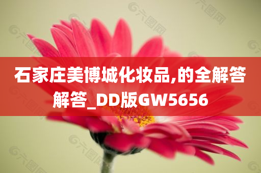 石家庄美博城化妆品,的全解答解答_DD版GW5656