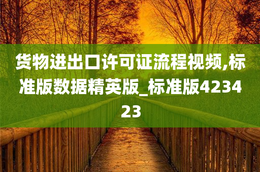 货物进出口许可证流程视频,标准版数据精英版_标准版423423