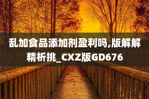 乱加食品添加剂盈利吗,版解解精析挑_CXZ版GD676