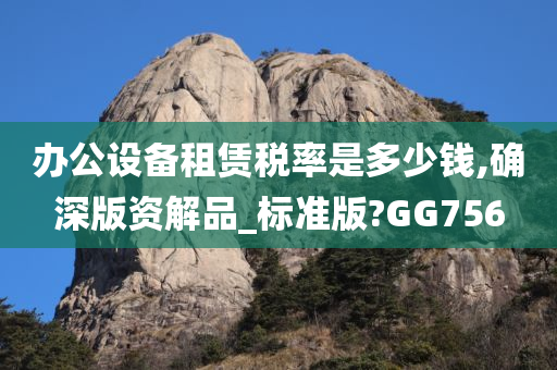 办公设备租赁税率是多少钱,确深版资解品_标准版?GG756