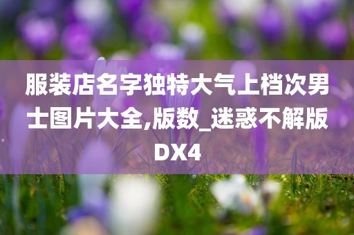 服装店名字独特大气上档次男士图片大全,版数_迷惑不解版DX4