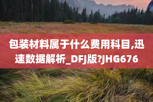 包装材料属于什么费用科目,迅速数据解析_DFJ版?JHG676