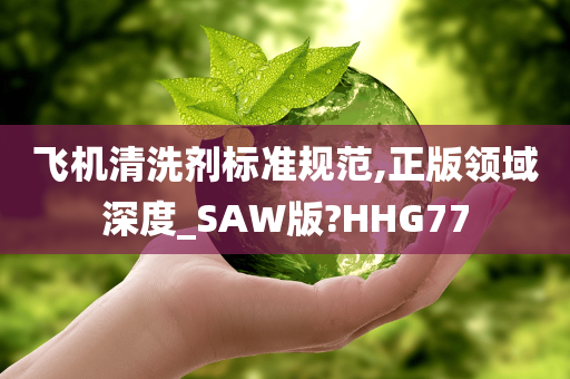 飞机清洗剂标准规范,正版领域深度_SAW版?HHG77